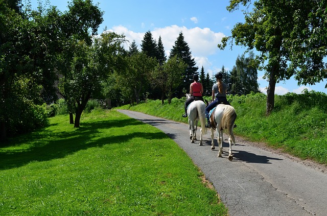 Ausreiten in der Tiroler Landschaft